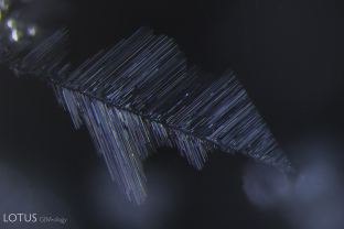 Fine dislocation needles, as shown here, are a typical inclusion in Vietnamese spinel.