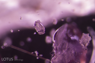 This untreated pink sapphire from the Ilakaka area of Madagascar was part of a large parcel purchased from a miner by the author in 2005. It contains rounded zircon crystals, and blocky crystals, some with fringes. The crystal in the center was identified as muscovite mica by micro Raman.
