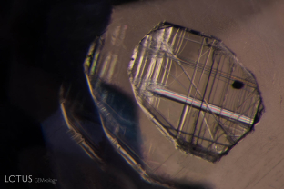 Negative crystal containing birefringent diaspore needles needles and a small graphite plate;  unheated Sri Lanka sapphire