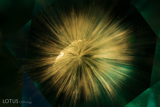 Horsetail inclusion in demantoid garnet; FOV: 6 mm; specimen courtesy Alexey Burlakov/Tsarina