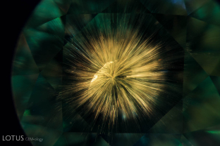 Horsetail inclusion in demantoid garnet; FOV: 7mm ; EBH; specimen courtesy Alexey Burlakov/Tsarina