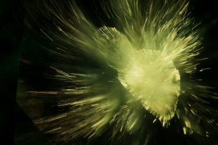 “Horsetail” inclusions in demantoid garnet. These consist of chrysotile fibers. Specimen courtesy of Alexey Burlakov/ Tsarina Jewels.