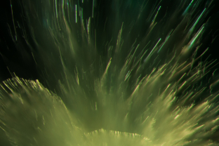 “Horsetail” inclusions in demantoid garnet. These consist of chrysotile fibers. Specimen courtesy of Alexey Burlakov/ Tsarina Jewels.