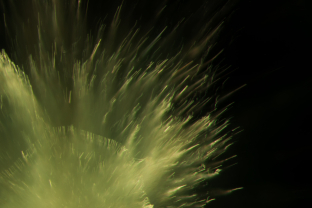 “Horsetail” inclusions in demantoid garnet. These consist of chrysotile fibers. Specimen courtesy of Alexey Burlakov/ Tsarina Jewels.