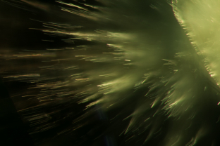 “Horsetail” inclusions in demantoid garnet. These consist of chrysotile fibers. Specimen courtesy of Alexey Burlakov/ Tsarina Jewels.