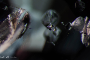 An octahedral crystal is suspended in its spinel host. Specimen courtesy Global Spinel Gems.