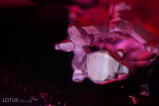 Large angular cavities are filled with a white substance in a red spinel. Specimen courtesy Global Spinel Gems.