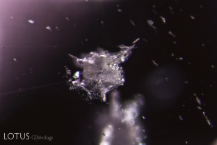 This blocky white crystal was found breaking the surface in a pink sapphire from Madagascar’s Ilakaka region collected at the mines by Lotus Gemology’s Richard Hughes in 2005. Using our micro Raman unit to analyze it, we were pleasantly surprised to discover that it was andalusite. To the best of our knowledge, this is the first time andalusite has been discovered as an inclusion in corundum.
