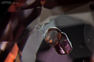 Apatite is a common inclusion in spinel. Here we can see it in both a more rounded and elongated form. The identity of the apatite was confirmed with Raman spectroscopy. Specimen courtesy Ayub Muhammad.