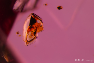 Fluid inclusions like these are typically found in spinel from Burma. The yellowish cavity is filled with a sulfur rich liquid.