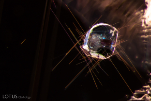 A blue apatite crystal (identified with micro Raman) is suspended amidst a cluster of needles in this garnet from Tanzania. Specimen courtesy of Mark Saul. Fabrication courtesy of Indy Khurana.