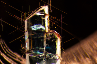 These blue crystals stand out in their host, a garnet from Tanzania. Analysis with micro Raman revealed they are apatite. Specimen courtesy of Mark Saul. Fabrication courtesy of Indy Khurana.