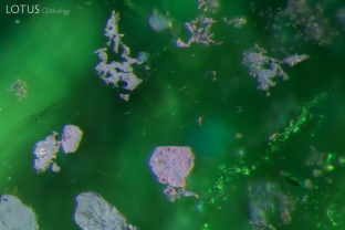 Dark platelets in an emerald from Zambia. When viewed with fiber optic light, as seen here, the platelets display a an iridescent metallic appearance. Specimen courtesy Gemfields.
