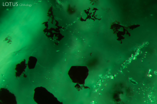 Dark platelets in an emerald from Zambia. Specimen courtesy Gemfields.