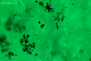 Clustesr of small, dark crystals are visible in this Zambian emerald. Specimen courtesy Gemfields.