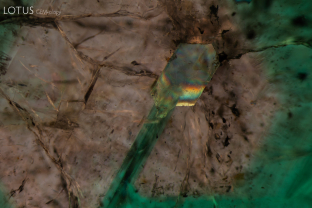 Complex hexagonal zoning patterns can be viewed in this Zambian emerald. Specimen courtesy Gemfields.