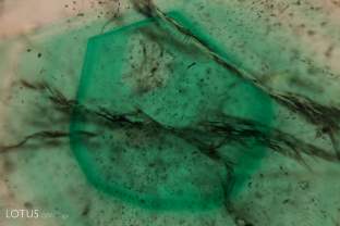 This emerald contained strong green color zoning. Specimen courtesy Gemfields.