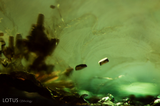 Small brown mica crystals (identified with micro Raman) appear to float in their emerald host. Specimen courtesy Gemfields.