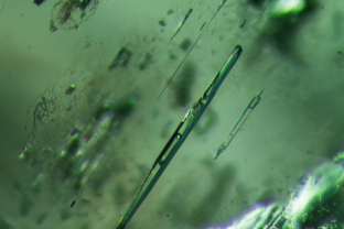 Blocky, elongated two phase inclusions appear to rain down in this emerald from Zambia. Upon careful inspection, carbon dioxide bubbles can be seen in these cavities. Specimen courtesy Gemfields.