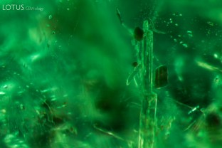 A mixture of crystals can be seen in this Zambian emerald. Micro Raman revealed that the elongated needles are tremolite, while the brown crystals are mica. Specimen courtesy Gemfields.
