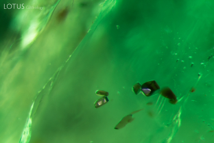 Brown tinted mica crystals like these (which were identified with micro Raman) are a commonly found inclusion in Zambian emeralds. Specimen courtesy Gemfields.