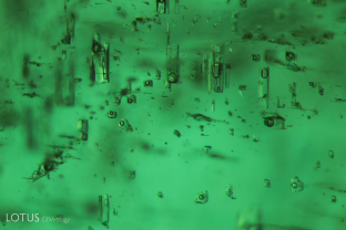 Blocky two-phase inclusions like those pictured here are often found in emeralds from Zambia and other schist-hosted origins. The bubbles seen inside are carbon dioxide. Specimen courtesy Gemfields.