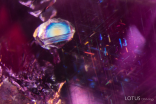 A fluorite crystal (identified with micro Raman) displays beautiful interference colors on its surface. In the background, a cloud of rutile silk needles can be seen. Specimen courtesy Vincent Pardieu.