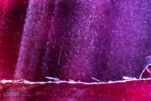 Thin exsolved needles of what is probably rutile silk in this ruby from Rolelo, Kiteto, Tanzania.