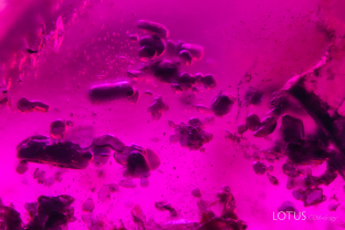 Rounded bluish crystals of what is probably amphibole in a ruby from Rolela, Kiteto, Tanzania.
