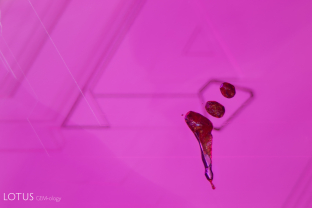 Triangular growth zoning and orangey red flux crystals are a hallmark of flux synthetic ruby. This sample was produced by Ramaura. Specimen courtesy Nicolas Francfort.