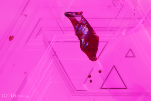 Triangular growth zoning and orangey red flux crystals are a hallmark of flux synthetic ruby. This sample was produced by Ramaura. Specimen courtesy Nicolas Francfort.