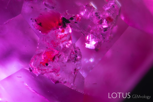 Agglomeration of apatite (colorless), phlogopite (orange) and graphite (black) – identified by micro Raman spectroscopy – in a Nepal (Chumar) ruby. Specimen courtesy of Dudley Blauwet.