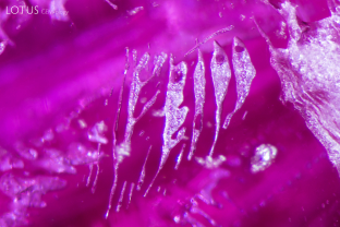 Flux “icicles” in a Kashan flux synthetic ruby.