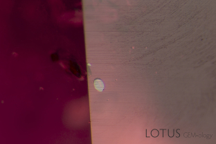 Red-orange crystals of primary rutile surrounded by small rounded grains of zircon believed to be from Mozambique. The identify of the inclusions was confirmed by microRaman (courtesy of GIA Bangkok). It was once thought that primary rutile and zircon were not found in Mozambique ruby, but the current evidence suggests that they are. In this photo shot in reflected light, two of the rutile crystals are cut through on the surface, displaying a much higher luster than the surrounding ruby.