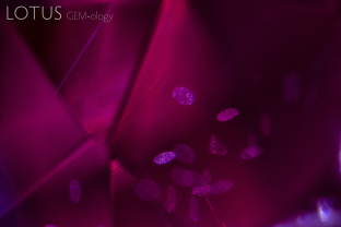 Unusual small “doily”-like flat inclusions in a ruby believed to originate from Mozambique’s Montepuez mine.