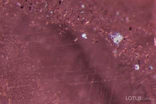 Small iridescent hexagonal crystals and strings of irregular particles are visible in this pink spinel from Mozambique.
