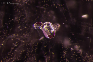 A crystal with sub-inclusions is suspended in this spinel from Mozambique. Micro Raman identified the larger crystal as forsterite and the sub-inclusions as phlogopite.
