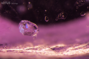A series of interesting crystals are suspended in this Mozambican pink spinel. Both the larger and the smaller, more transparent crystals were identified as forsterite using Raman spectroscopy.