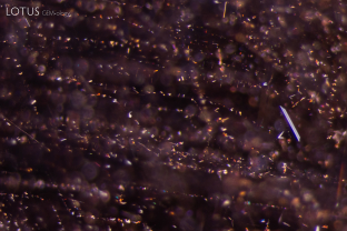 Small platelets and needles are scattered across this spinel from Mozambique.