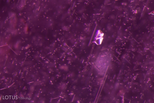 A small, doubly refractive anorthite crystal (identified by micro Raman) is suspended in a garnet from Mozambique.