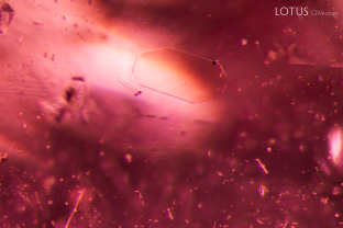 A thin, orange platelet appears to float in this garnet from Mozambique. Although attempts were made to identify it with Raman spectroscopy, results were not conclusive, perhaps because the inclusion was so thin.