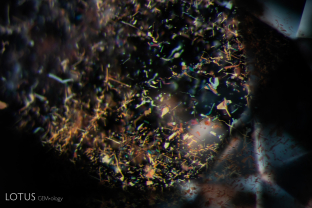 A cloud of irregularly shaped platelets creates a confetti-like appearance in this Songea sapphire. Specimen courtesy Nomad’s.