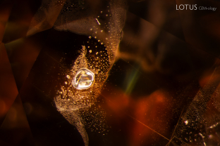 This heated Montana sapphire contains a melted crystal in the center of a bubbly fingerprint. Sample courtesy Mike Gray.