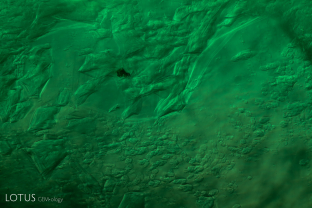 The “gota de aceite” (Spanish for “drop of oil”) effect in this Colombian emerald creates an appearance similar to a topographic map. Sample courtesy Nasser S. Altayyar.