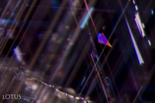 Arrow-shaped rutile needles lie frozen within this unheated sapphire from Sri Lanka.