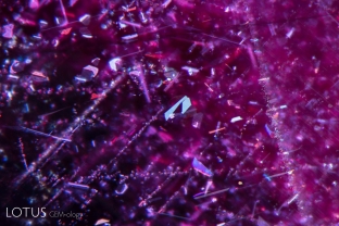 Undissolved rutile silk with attached daughter crystals in the basal plane of a ruby from Mozambique’s Montepuez region.