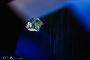 This corroded crystal guest in a Burmese sapphire represents a protogenetic inclusion, one that existed before the sapphire itself. Secondary exsolved rutile is visible in the background.