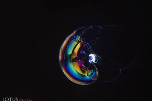 This iridescent discoid around a melted crystal demonstrates that this sapphire has been heat treated.
