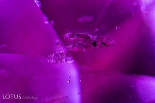 This hot pink sapphire from Vietnam’s Luc Yen district contained small birefringent crystals with tiny embedded green crystal inclusions.