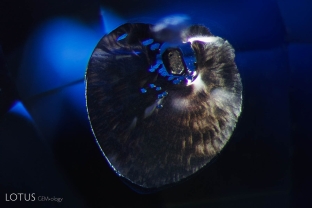 A melted crystal surrounded by an unusual bronze discoid with a glassy surface. This shiny, glassy appearance provides evidence that the stone was heated.